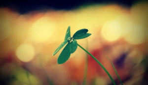 伪空包器件是什么意思,空封器件是什么意思