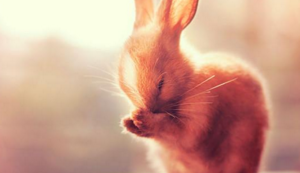 伪空包器件是什么意思,空封器件是什么意思